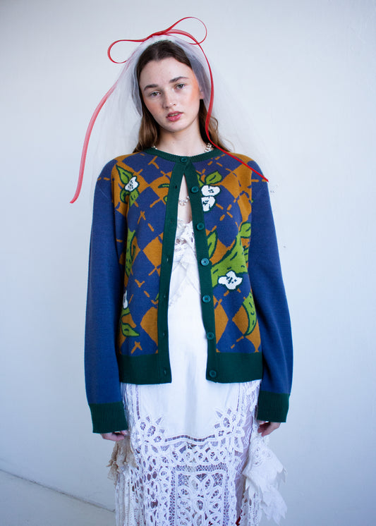 Botanical Argyle Cardigan